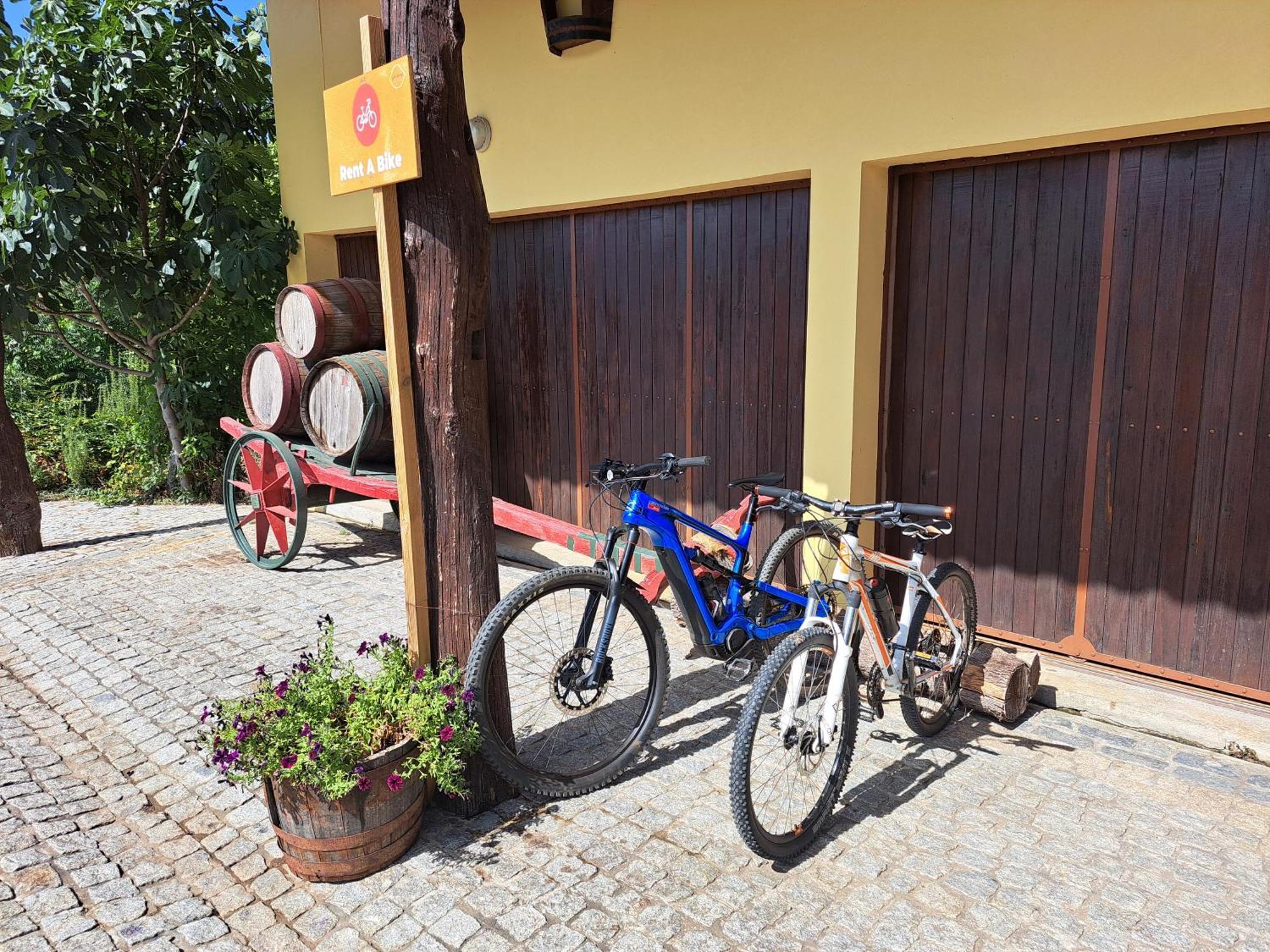 Quinta De Carcavelos Agroturismo E Enoturismo Celorico De Basto Exterior photo